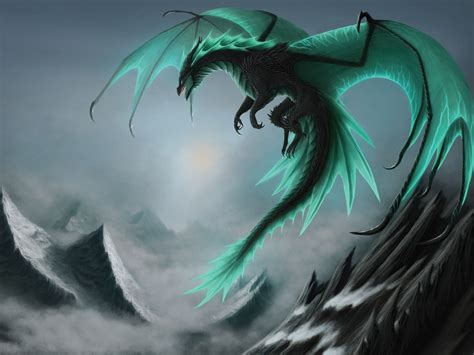 Realistic Dragon Wallpapers Top Free Realistic Dragon Backgrounds
