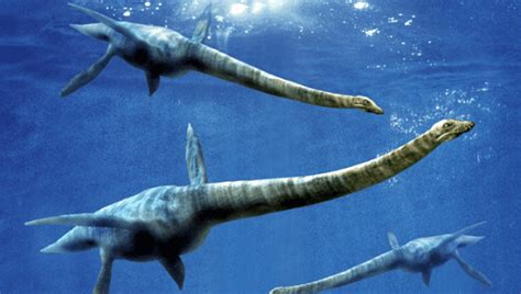 Giant Marine Reptile Lived In Antarctic 150 Million Years Ago Nexus Newsfeed