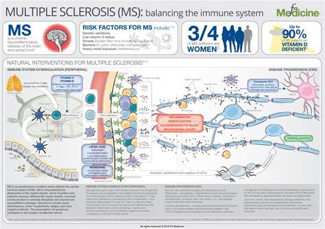 Infographic Multiple Sclerosis Balancing The Immune System Fx