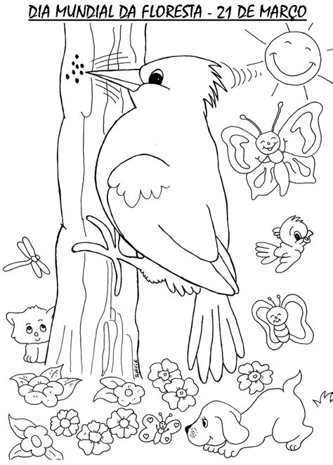 Animais Da Floresta Para Imprimir