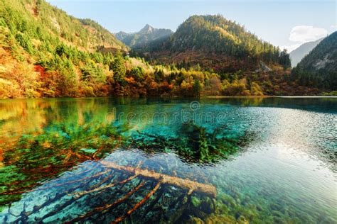 Five Flower Lake China Stock Photo Image Of China 96079270