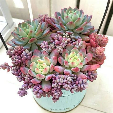 10 outdoor succulent garden designs ideas. 20+ Easy And Cheap Ways To Make Succulent Garden In Your ...