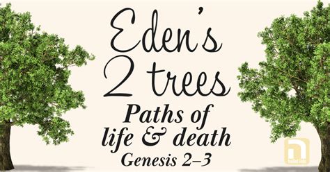 Edens Two Trees Paths Of Life And Death Genesis 23 Hallel Fellowship