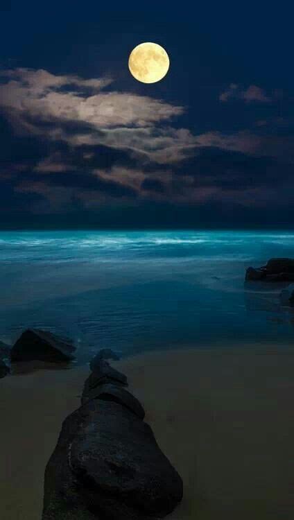Full Moon Over Ocean Beautiful Moon Moonlight Nature