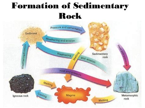 52 Sedimentary Rocks
