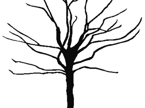 tree silhouette vector png - Tree Clipart Clipart Family - Bare Clipart Tree | #1230103 - Vippng