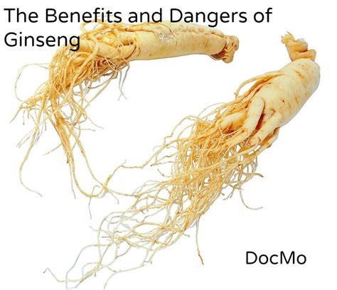 benefits and dangers of ginseng remedygrove