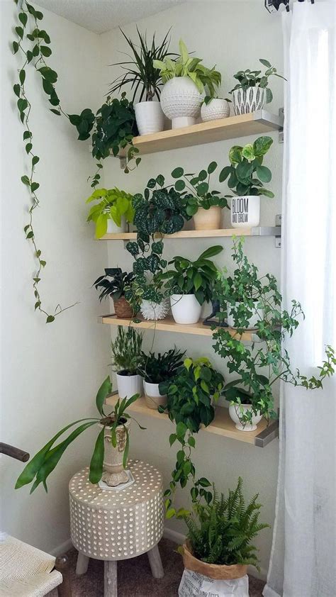 Las plantas son un excelente recurso natural para decorar todo tipo de espacios, incluso los mas inimaginables como los decoracion de interiores moderna y clasica. decora tu casa con plantas de interior #decoracionconplantasvintage | Plantas en pared