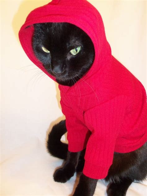 Cyber Monday Sale Coolcats Knit Cat Hoodie Several By Rockindogs 19