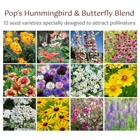 Hummingbird And Butterfly Wildflower Pollinator Seed Mix Pops Birding