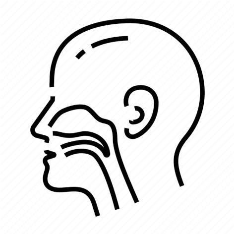 Ear Nose Throat Icon Download On Iconfinder