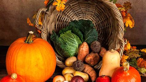 Stigla je jesen Evo u kojim zdravim namirnicama možete uživati dok su u sezoni Body ba