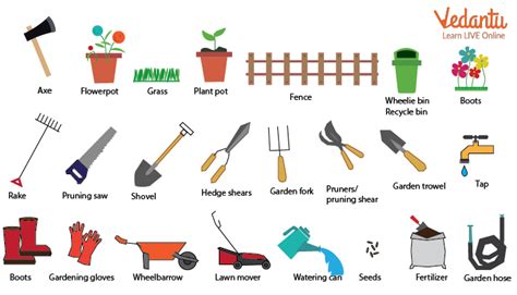 Garden Vocabulary English Words About Gardening With Pictures
