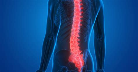 New Biomaterial Developed That Could Be A Treatment For Spinal Cord
