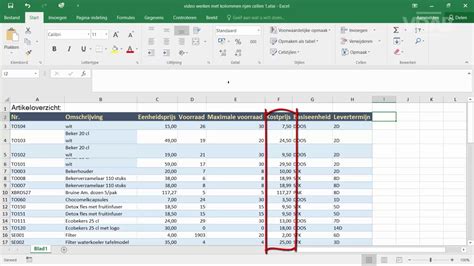 Ms Office 365 Excel Intro Excel Werken Met Kolommen Rijen En