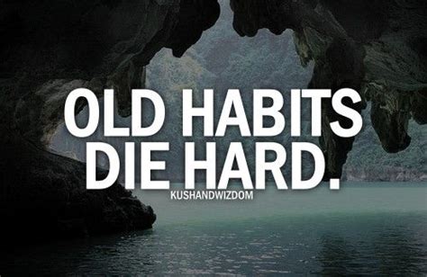 Old habits die hard — spoken phrase used for saying that it is difficult to change a way of behaving that someone has had for many years thesaurus: old habits die hard | Hard quotes, Die hard, Tumblr quotes