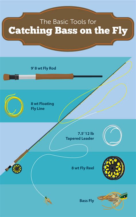 How to set up new fishing rod. Best Fly Fishing Setup For Trout - All About Fishing