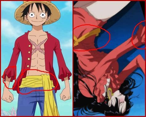 One Piece Fanart One Piece Anime One Piece Luffy