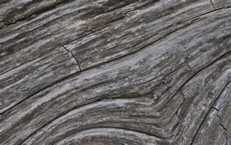 Diagonal Pattern In The Grain Of Dead Wood Clippix Etc Educational