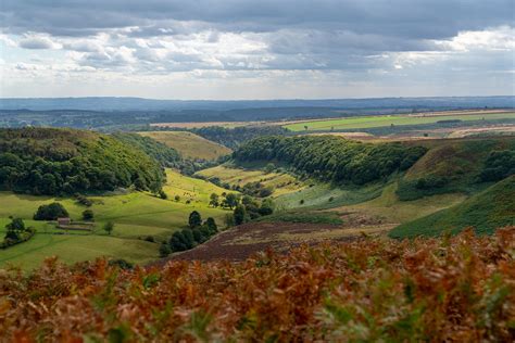 Showing details for 1 to 5 of 5 computer support found in york. Exploring the North York Moors National Park | Adventurous Way