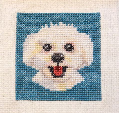 Original cross stitch patterns to print online. Bijon Frisé dog cross stitch pattern Instant Download ...