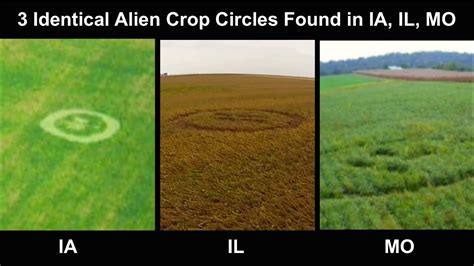 Alien Crop Circles 3 Identical 2014 Youtube