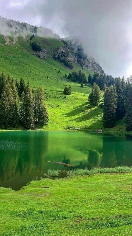 Best Scenery Greenery Mountains Wallpaper Download Mobcup