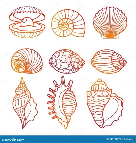 Seashells Colorful Outline Seashell Set Vector Illustration Stock