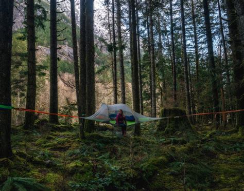 Wildcampinguk1 3 Reasons A Tree Tent Will Make This The Best Camping