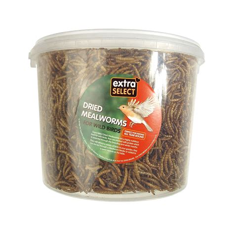 Extra Select Mealworms 5 Lt Bucket