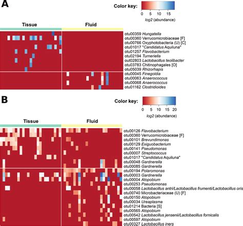 Relative Abundances Of Selected Bacterial Taxa Taxa Rows In Samples