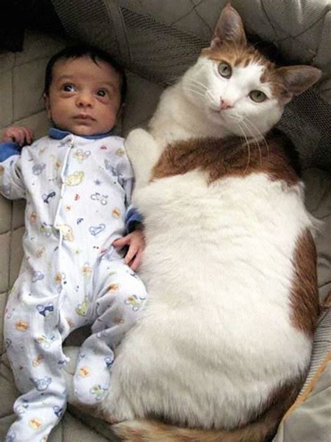 40 Beautiful Photos Of Children And Cats Being The Best Of