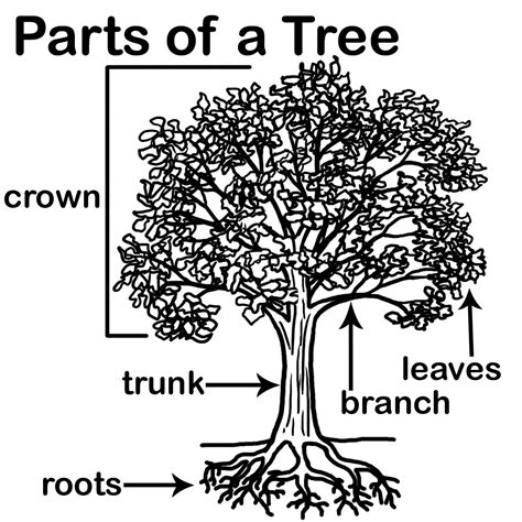 Parts Tree Driverlayer Search Engine