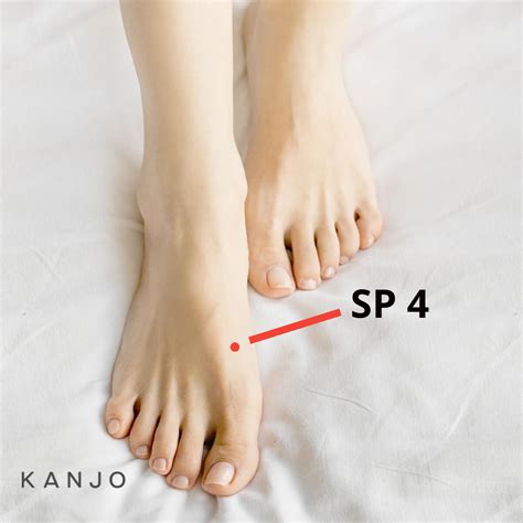 Sexual Reflexology Discover The Sexual Pressure Points Kanjo