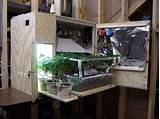 Pictures of Closet Marijuana Grow Room