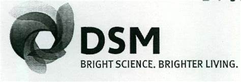 DSM IP Assets B.V.