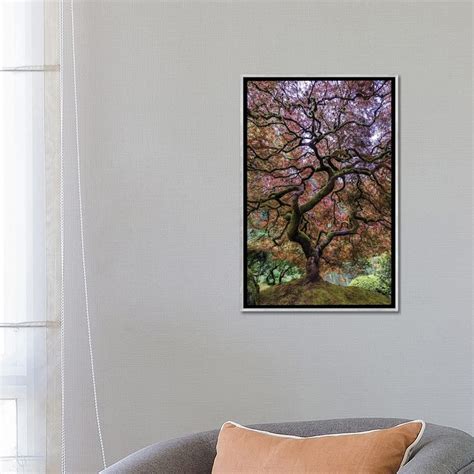 Icanvas Japanese Maple Tree By Mike Centioli Framed Bed Bath