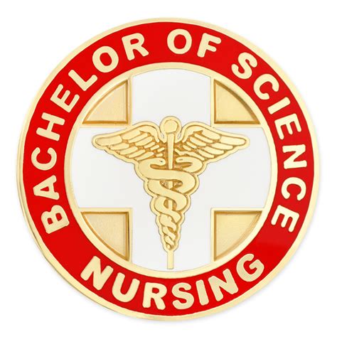 Bachelor Of Science Nursing Pin Pinmart