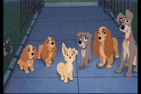 What Kind Of Dogs Are In Lady And The Tramp 2 Pets Lovers