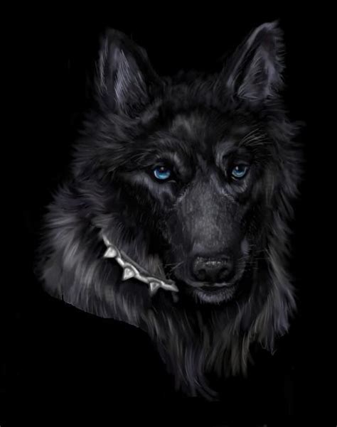 Image Black Wolf 0 Animal Jam Clans Wiki Fandom Powered By Wikia