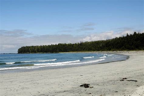 7 Of The Best Coastal Hikes On Vancouver Island And Nearby