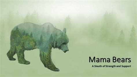 Mama Bears — Shadetree Community Church