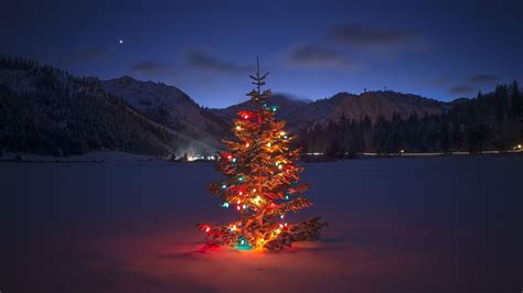 Christmas Tree Evening Capturing In South Lake Tahoe 1280 × 720