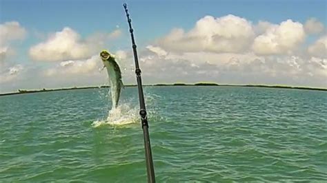 Back To Fishing Florida Keys Tarpon Fishing Youtube