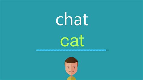 Comment On Dit Entre En Anglais - Comment dire chat en anglais - YouTube