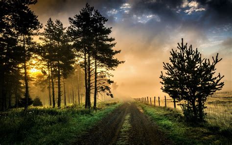 Foggy Country Road Hd Wallpaper Background Image