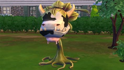 Sims 4 How To Look After Your Cow Plant