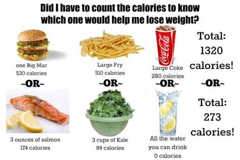 Morefit Llc Are All Calories Created Equal