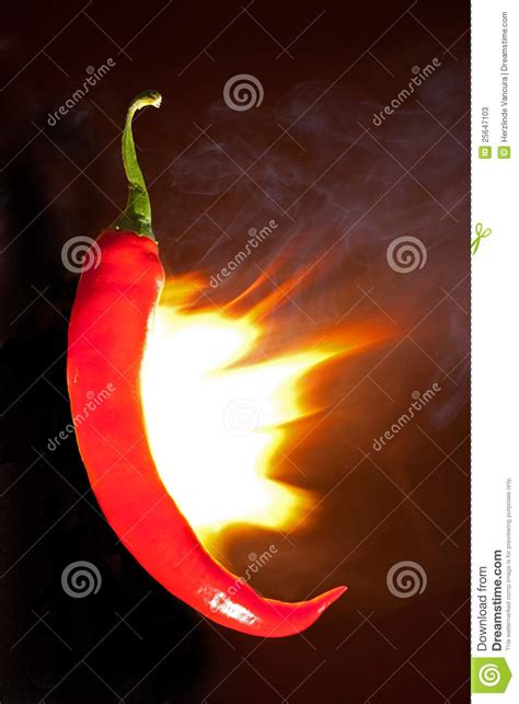 Red Hot Chili Pepper Stock Image Image Of Pepper Spicy 25647103