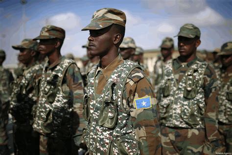 UAE halts military training in Somalia | Medafrica Times